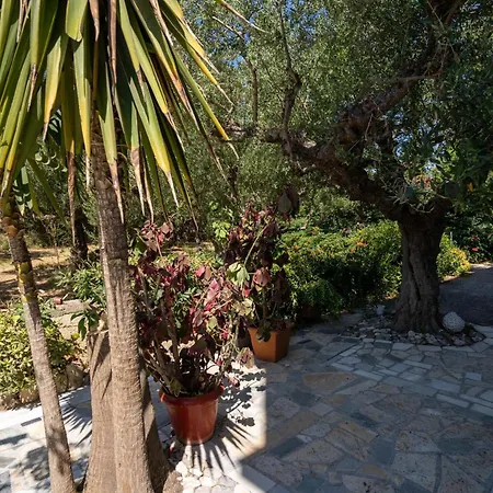 Skyblue Horizon 2 Appartement Tsilivi (Zakynthos)